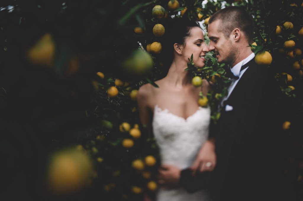 The newlyweds are shooting a video in a tangerine field